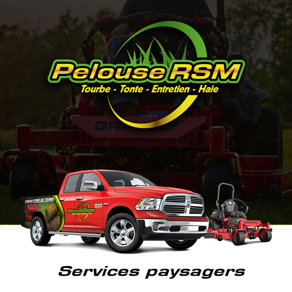 Réalisation Pelous RSM