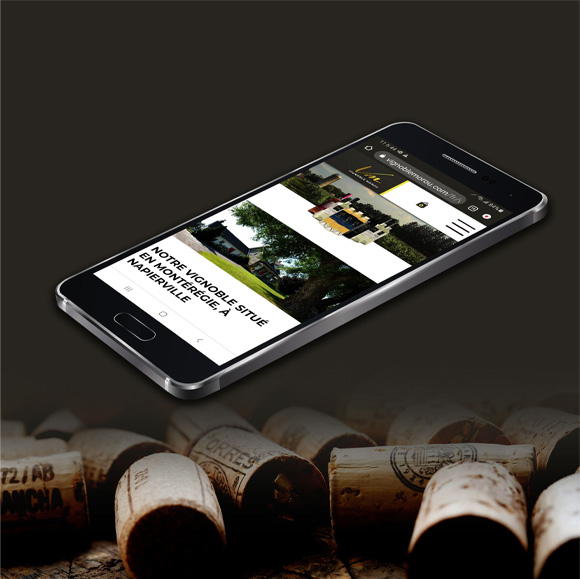 Réalisation vignoble Morou