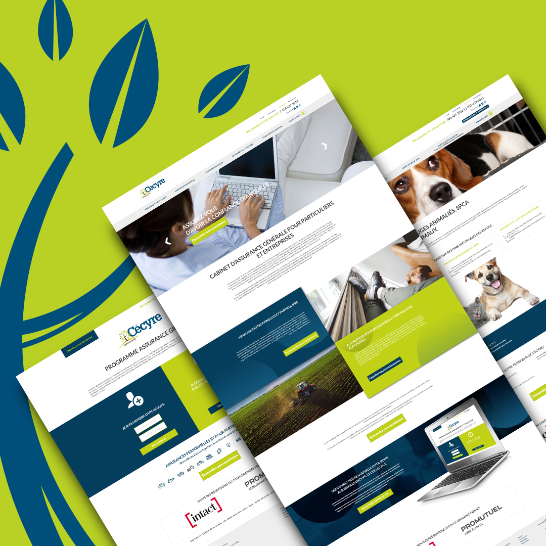 Réalisation du site web de Assurance Cécyre