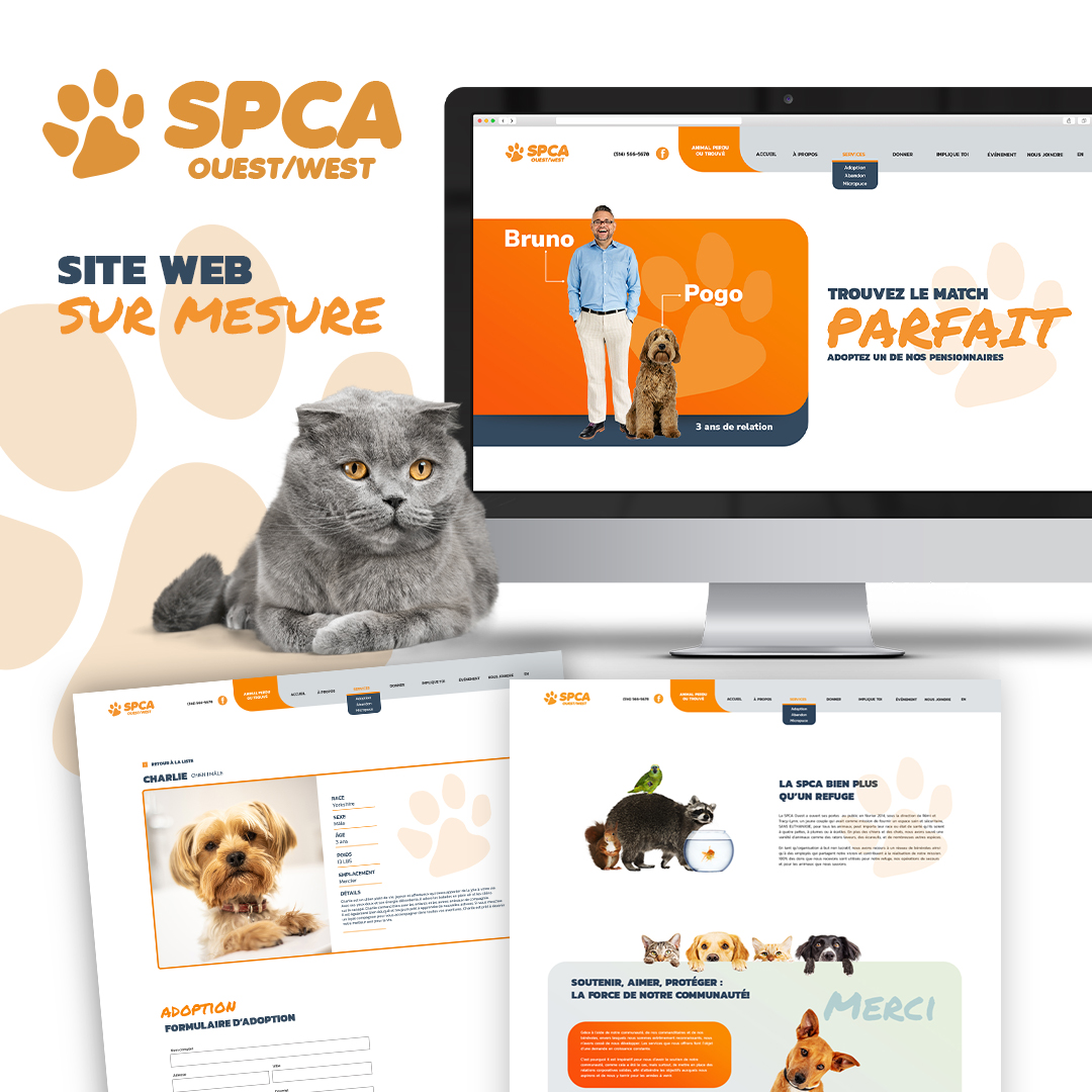Réalisation du site web de SPCA Ouest